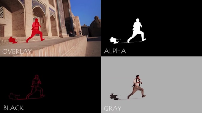 professional rotoscoping and background removal from your video