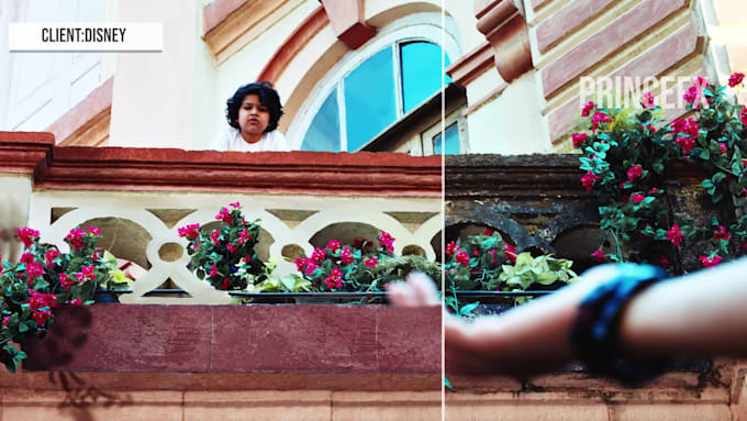 do best vfx compositing  and object removal for your videos