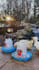 create animal, pet related ugc