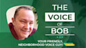deliver the perfect male voiceover for your project
