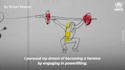 draw animations art with continuous lines