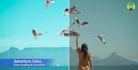 do cinematic video color grading and color correction