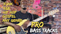 be your pro studio bass player