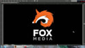 revamp your raster logo into high resolution vector