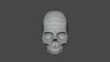 create a retopology with the polycount you want