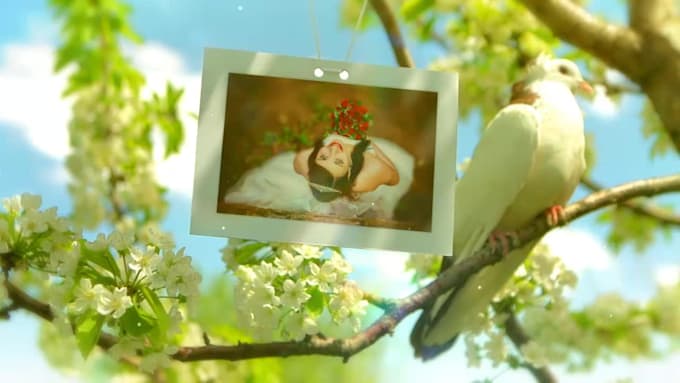 create beautiful wedding photo gallery