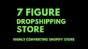 build a shopify store for your brand and dropshipping stores