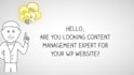 do professional wordpress data entry and blog post
