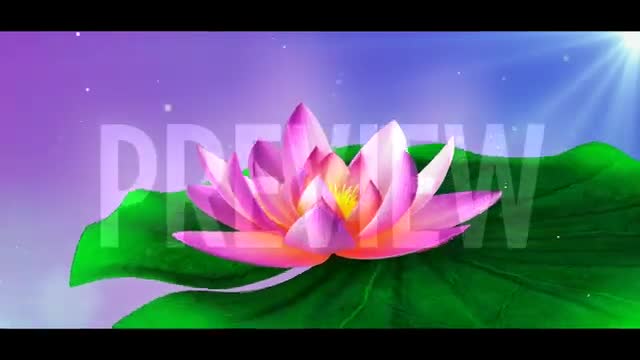 Create 3d flower animation, cgi plant , 3d cgi plant, flower vfx ...
