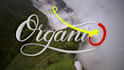 animate your lettering or signature