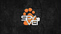 create a professional custom logo animation