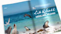 professionally edit your travel video