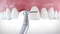 create professional 3d dental animation videos