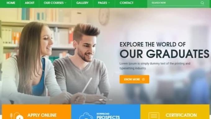 design  elementor website and blog for you