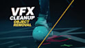 do flawless clean up , wire removal ,vfx paint
