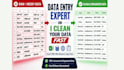 do accurate data entry, excel, CRM data cleaning and web research