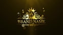 create luxury golden and silver intro logo animation