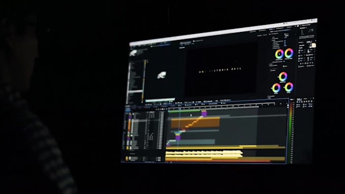 do professional video editing service in 24 hours