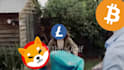do face swap, nft head swap, crypto meme head swap in video