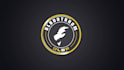 create awesome custom logo animation or intro