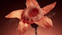 3d cosmetic animation 3d perfume animation 3d product animation