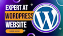 be website designer for wordpress website or web design