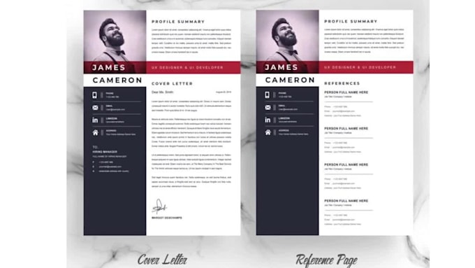 write CV or resume in two days