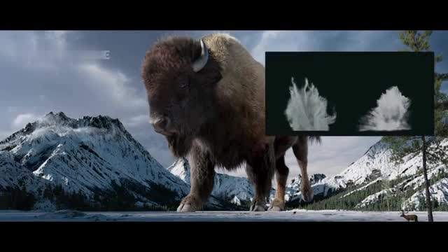 create cgi realistic 3d animal model fur xgen groom rigging 3d animation vfx