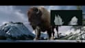 create cgi realistic 3d animal model fur xgen groom rigging 3d animation vfx