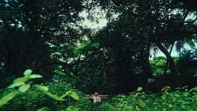 do professional video color grading