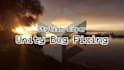 fix bugs in unity