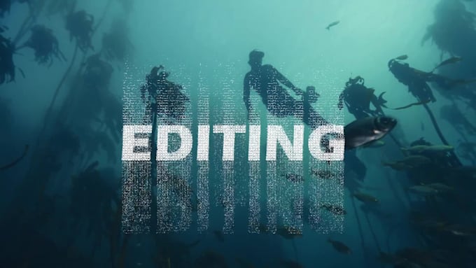 make stunning cinematic videos, trailers, promos and intros
