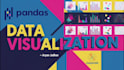 visualize and clean your data using python