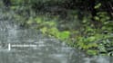 create HD thunder sounds with rain video