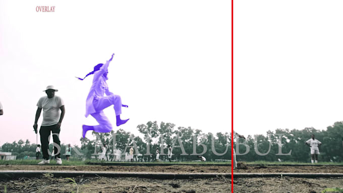 do professional rotoscoping, green screen remove, roto paint