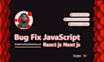 develop or fix react js, javascript, next js, website layout bugs and problems