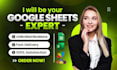 be your expert for excel vba, google sheets, and custom spreadsheet automation