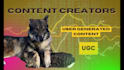 create dog ugc video ads for tiktok, instagram, amazon, facebook, marketing