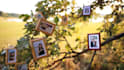 create a magical photo slideshow for your loved ones