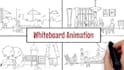 create a whiteboard animation explainer video or doodle video