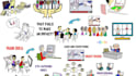 create a custom whiteboard animation explainer video
