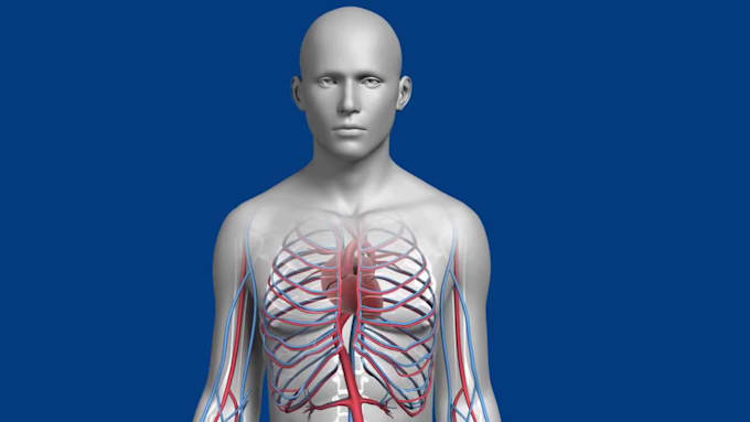 create professional 3d medical animation and drug moa video
