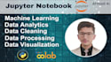 do data science, machine learning, and visualization project in jupyter notebook