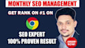 do complete monthly SEO service for shopify and wordpress