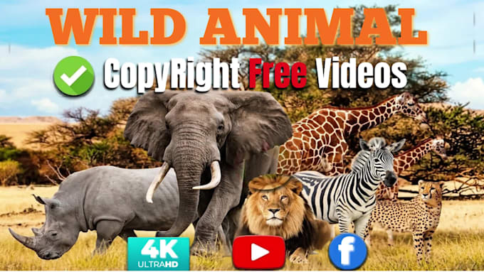 create wildlife animals documentary free videos for youtube