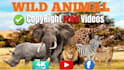 create wildlife animals documentary free videos for youtube