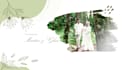 edit cinematic wedding video