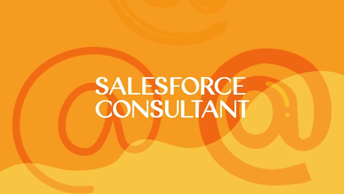 be your salesforce developer consultant