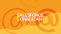 be your salesforce developer consultant