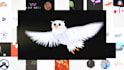 create a perfect custom logo animation in 24 hours